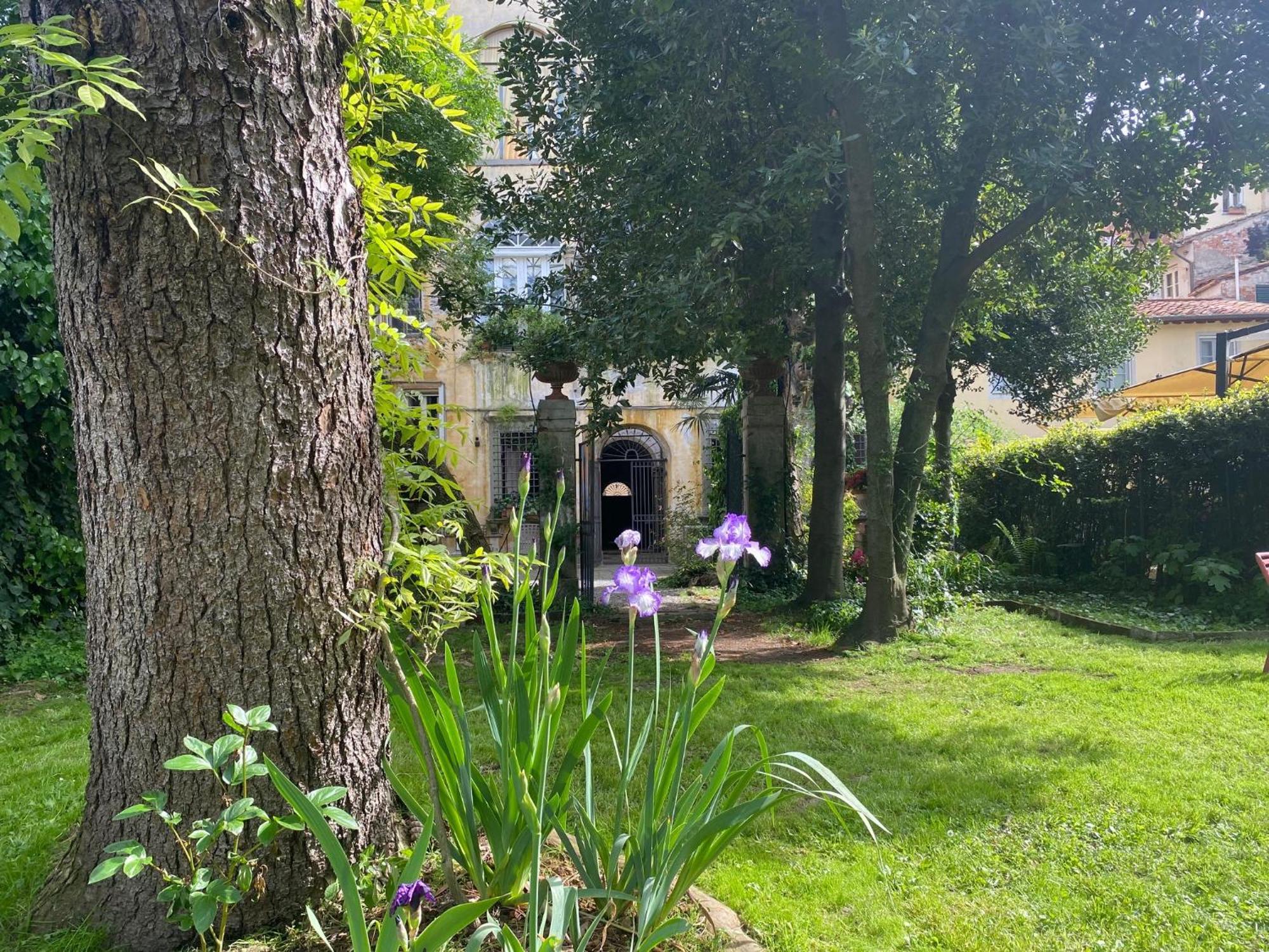 Corte Meraviglia - Relais Lucca Dış mekan fotoğraf
